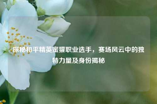 探秘和平精英蜜獾职业选手，赛场风云中的独特力量及身份揭秘