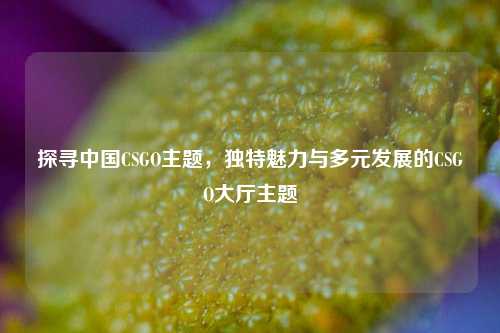 探寻中国CSGO主题，独特魅力与多元发展的CSGO大厅主题