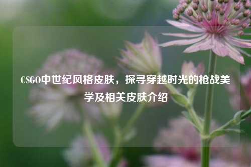 CSGO中世纪风格皮肤，探寻穿越时光的枪战美学及相关皮肤介绍