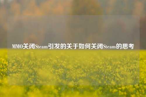 MMO关闭Steam引发的关于如何关闭Steam的思考