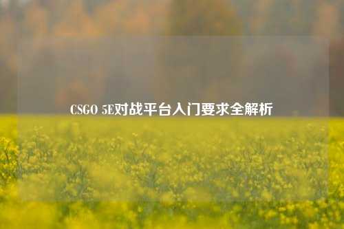 CSGO 5E对战平台入门要求全解析