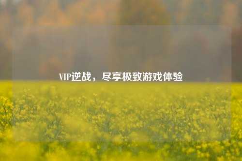 VIP逆战，尽享极致游戏体验