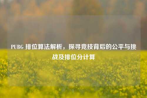 PUBG 排位算法解析,探寻竞技背后的公平与挑战及排位分计算
