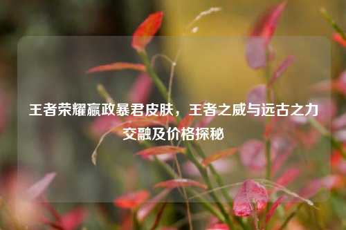 王者荣耀嬴政暴君皮肤,王者之威与远古之力交融及价格探秘