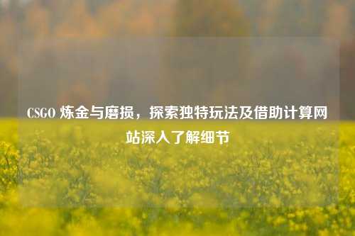 CSGO 炼金与磨损，探索独特玩法及借助计算网站深入了解细节