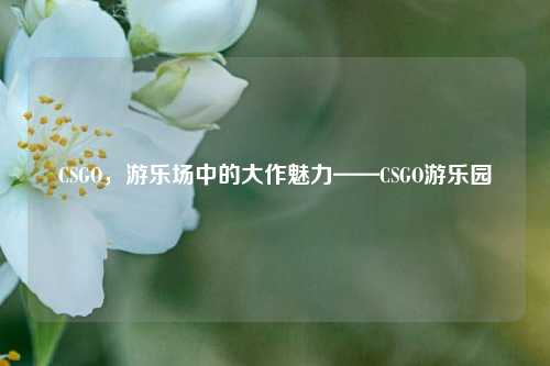 CSGO，游乐场中的大作魅力——CSGO游乐园