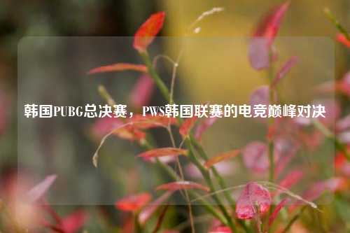 韩国PUBG总决赛,PWS韩国联赛的电竞巅峰对决