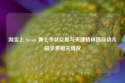 淘宝上 Steam 勇士令状交易与天津格林国际幼儿园学费相关情况