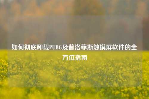 如何彻底卸载PUBG及普洛菲斯触摸屏软件的全方位指南