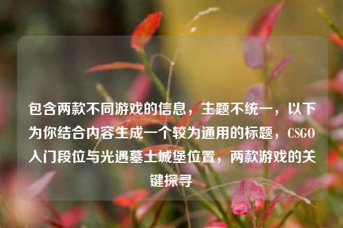 包含两款不同游戏的信息，主题不统一，以下为你结合内容生成一个较为通用的标题，CSGO入门段位与光遇墓土城堡位置，两款游戏的关键探寻