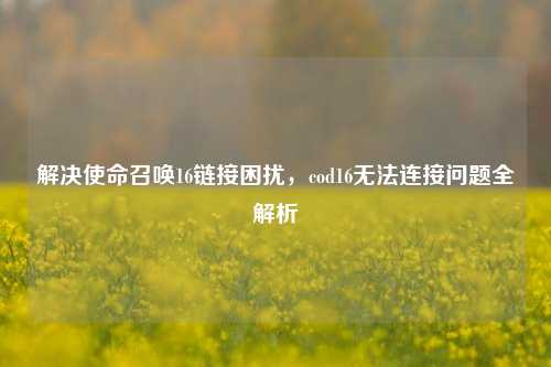 解决使命召唤16链接困扰，cod16无法连接问题全解析