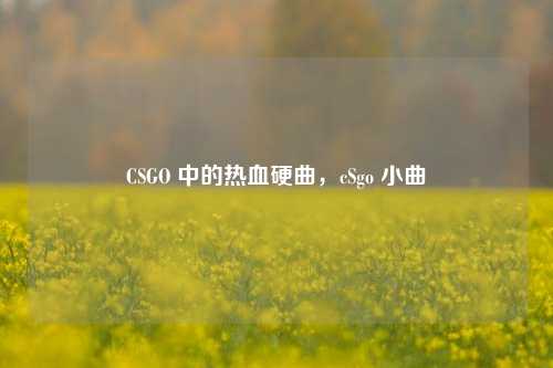 CSGO 中的热血硬曲，cSgo 小曲