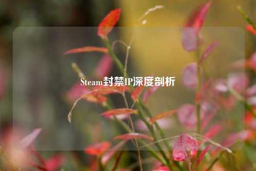 Steam封禁IP深度剖析