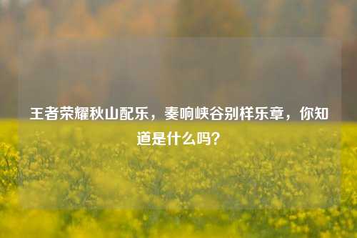 王者荣耀秋山配乐，奏响峡谷别样乐章，你知道是什么吗？