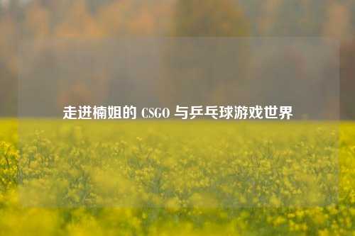 走进楠姐的 CSGO 与乒乓球游戏世界