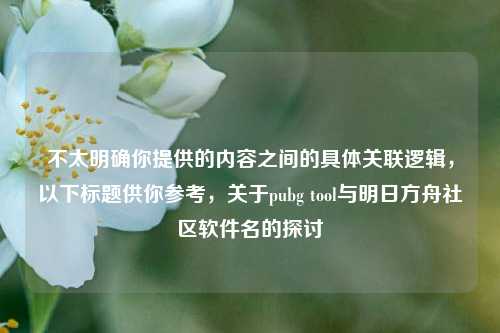 不太明确你提供的内容之间的具体关联逻辑,以下标题供你参考,关于pubg tool与明日方舟社区软件名的探讨