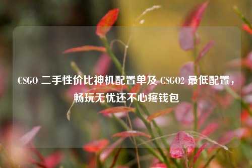 CSGO 二手性价比神机配置单及 CSGO2 最低配置，畅玩无忧还不心疼钱包