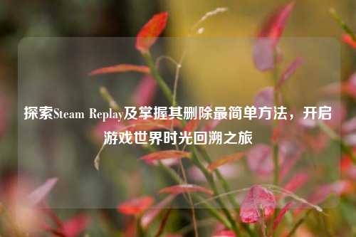 探索Steam Replay及掌握其删除最简单方法，开启游戏世界时光回溯之旅