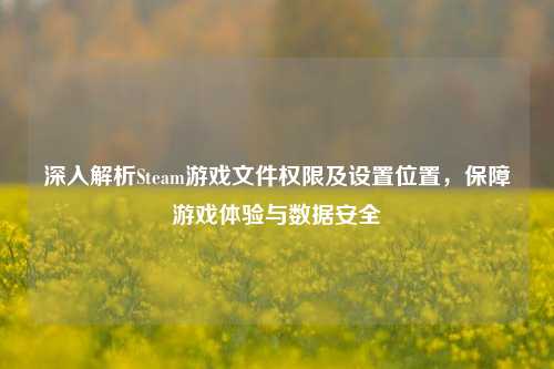 深入解析Steam游戏文件权限及设置位置,保障游戏体验与数据安全