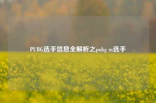 PUBG选手信息全解析之pubg m选手