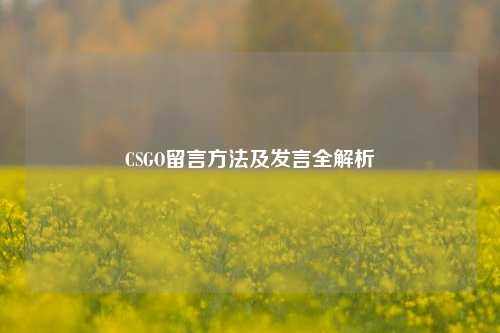 CSGO留言方法及发言全解析
