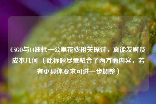 CSGO与14油耗一公里花费相关探讨，真能发财及成本几何 （此标题尽量融合了两方面内容，若有更具体要求可进一步调整）