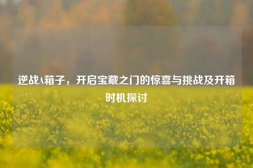 逆战A箱子，开启宝藏之门的惊喜与挑战及开箱时机探讨