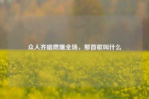 众人齐唱燃爆全场，那首歌叫什么