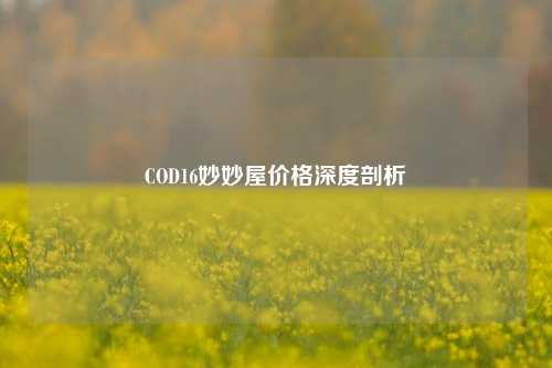 COD16妙妙屋价格深度剖析