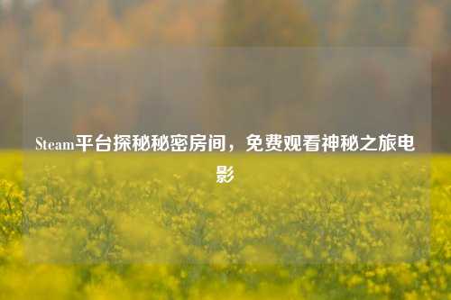 Steam平台探秘秘密房间,免费观看神秘之旅电影