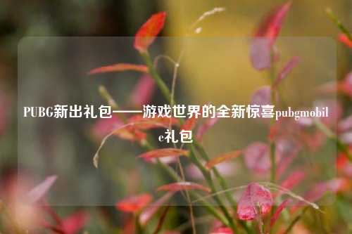 PUBG新出礼包——游戏世界的全新惊喜pubgmobile礼包