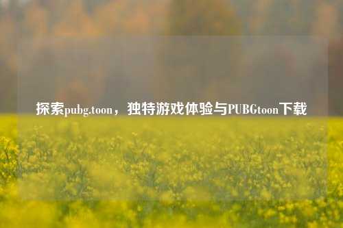 探索pubg.toon，独特游戏体验与PUBGtoon下载