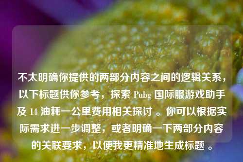 不太明确你提供的两部分内容之间的逻辑关系,以下标题供你参考,探索 Pubg 国际服游戏助手及 14 油耗一公里费用相关探讨 。你可以根据实际需求进一步调整,或者明确一下两部分内容的关联要求,以便我更精准地生成标题 。
