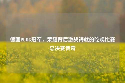 德国PUBG冠军，荣耀背后激战铸就的吃鸡比赛总决赛传奇