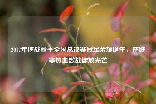 2017年逆战秋季全国总决赛冠军荣耀诞生，逆联赛热血激战绽放光芒