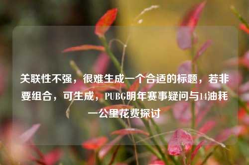 关联性不强，很难生成一个合适的标题，若非要组合，可生成，PUBG明年赛事疑问与14油耗一公里花费探讨