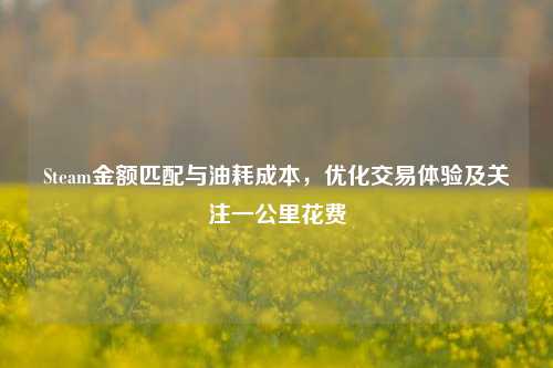Steam金额匹配与油耗成本，优化交易体验及关注一公里花费