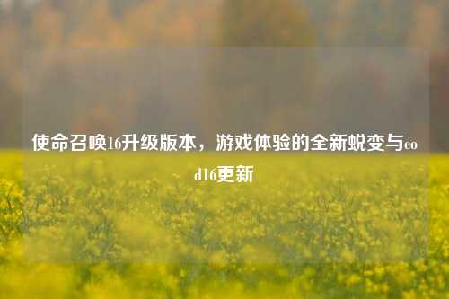使命召唤16升级版本,游戏体验的全新蜕变与cod16更新