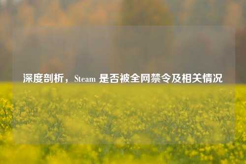 深度剖析,Steam 是否被全网禁令及相关情况