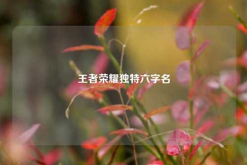 王者荣耀独特六字名