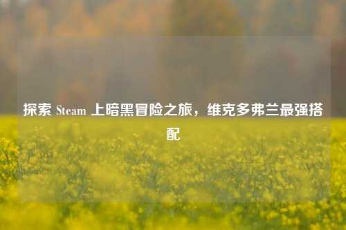 探索 Steam 上暗黑冒险之旅，维克多弗兰最强搭配