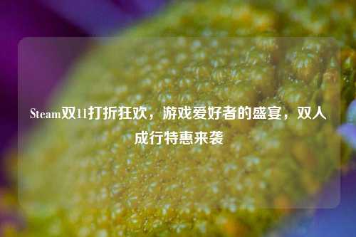 Steam双11打折狂欢，游戏爱好者的盛宴，双人成行特惠来袭