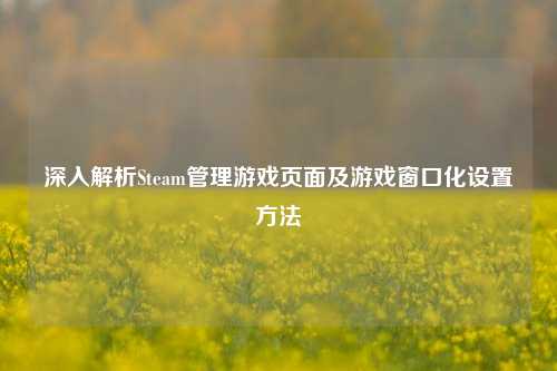 深入解析Steam管理游戏页面及游戏窗口化设置方法