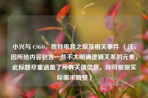 小兴与 CSGO,独特电竞之旅及相关事件 (注,因所给内容包含一些不太明确逻辑关系的元素,此标题尽量涵盖了所有关键信息,你可根据实际需求调整)