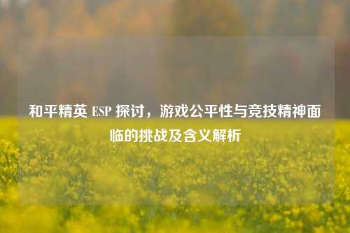 和平精英 ESP 探讨，游戏公平性与竞技精神面临的挑战及含义解析