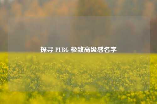 探寻 PUBG 极致高级感名字