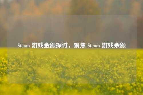Steam 游戏金额探讨，聚焦 Steam 游戏余额