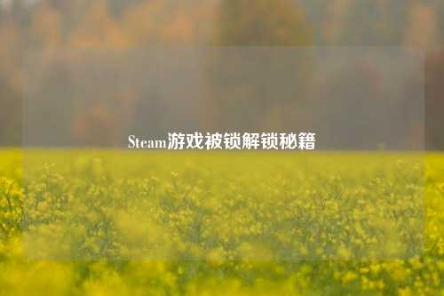 Steam游戏被锁解锁秘籍