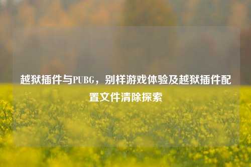 越狱插件与PUBG，别样游戏体验及越狱插件配置文件清除探索