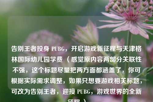 告别王者投身 PUBG,开启游戏新征程与天津格林国际幼儿园学费 (感觉原内容两部分关联性不强,这个标题尽量把两方面都涵盖了,你可根据实际需求调整,如果只想要游戏相关标题,可改为告别王者,迎接 PUBG,游戏世界的全新征程 )